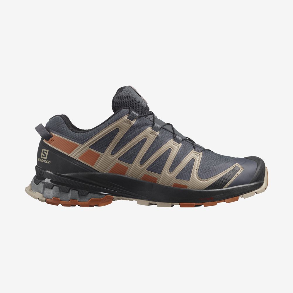 Salomon Trail Løbesko Herre Flerfarvede - XA PRO 3D V8 GORE-TEX (VFGNL-9345)